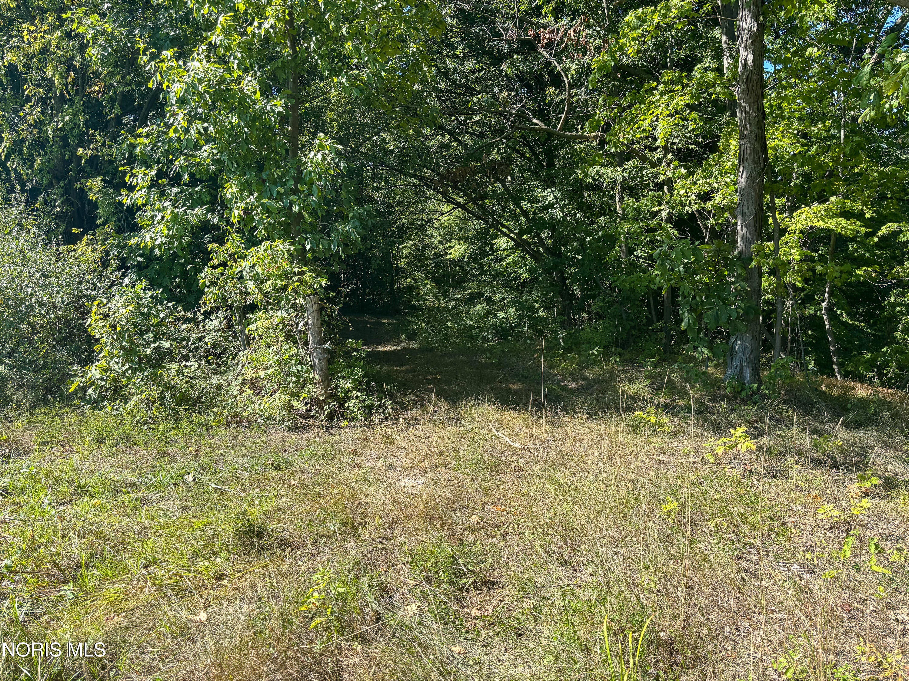 0 Evansport Road Defiance, OH 43512 - Photo 12 of 27 Gallery Image 12