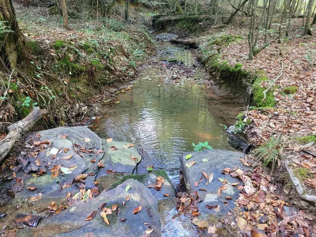 a view of a lake with lots of trees