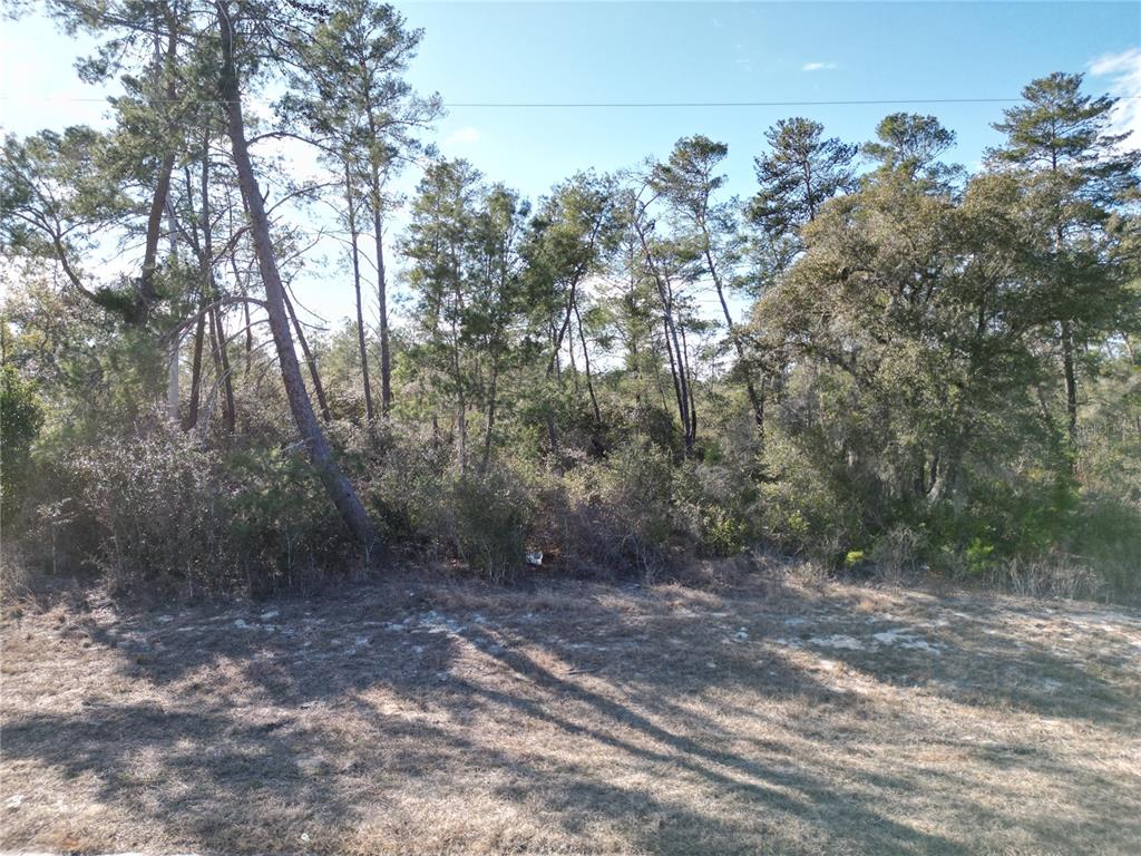 0 Southwest 170th Loop Ocala, FL 34473 - Photo 1 of 1 Gallery Image 1
