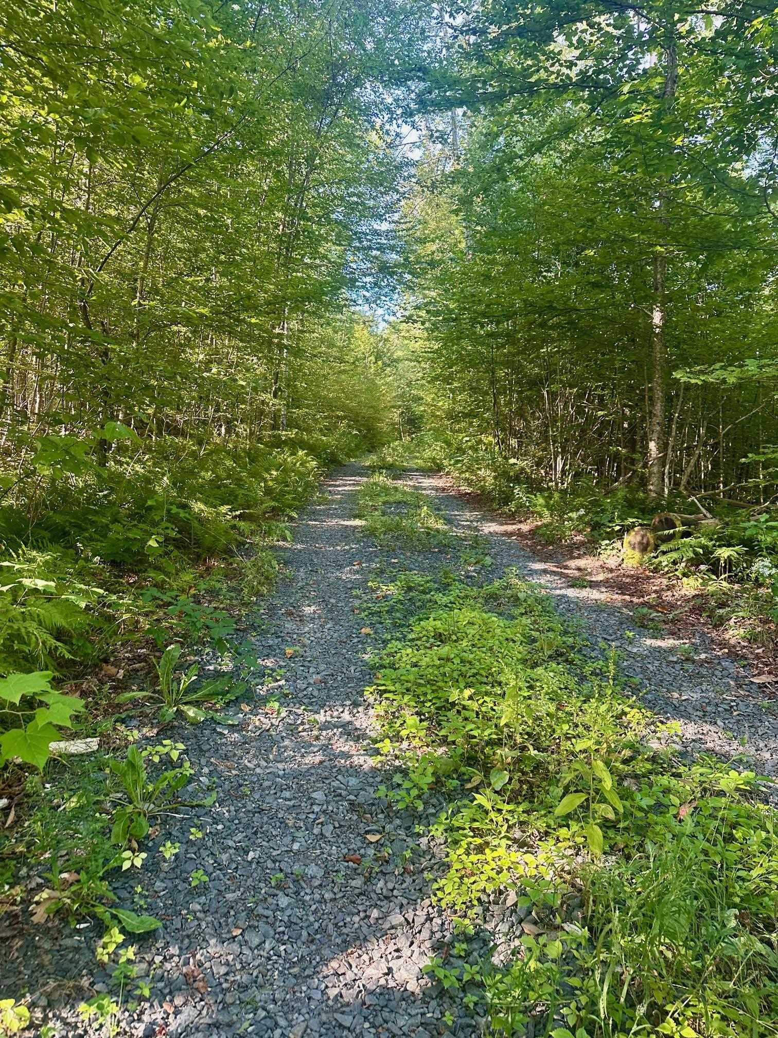 0 Lower Dover Road Brattleboro, VT 05301 - Photo 3 of 19