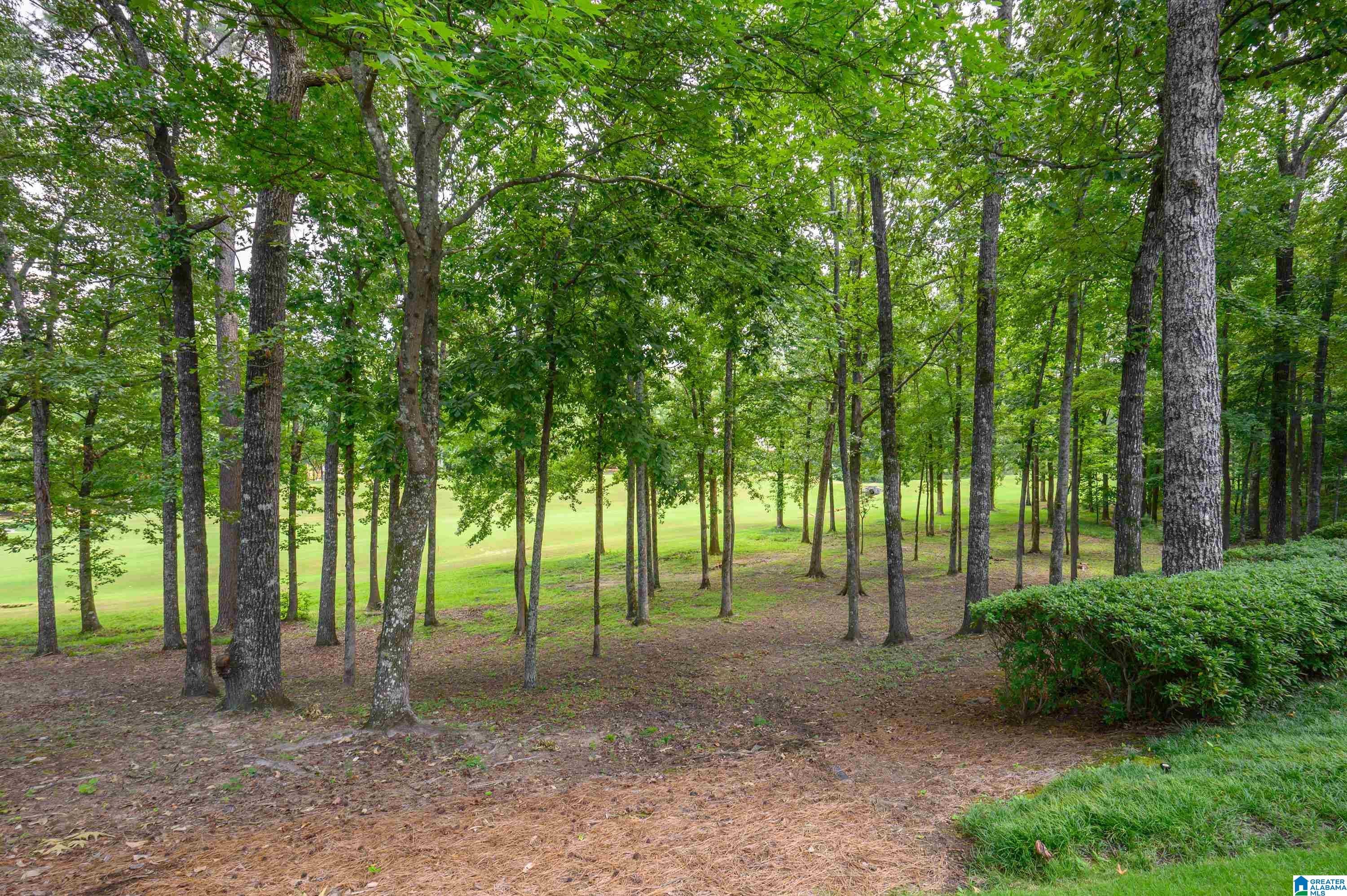 1080 Greymoor Road Birmingham, AL 35242 - Photo 59 of 84 Gallery Image 59
