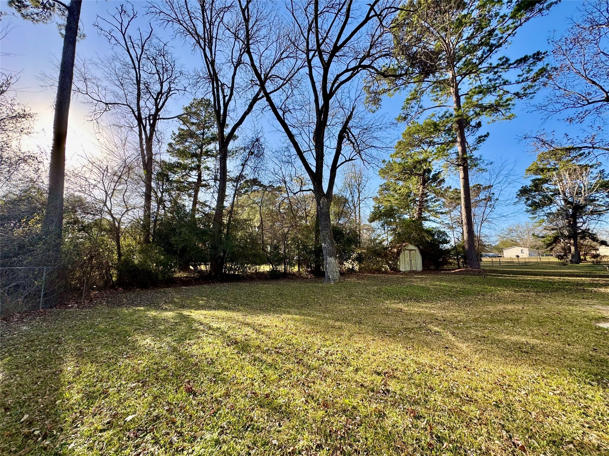 504 Timber Bay Drive Trinity, TX 75862 - Photo 44 of 48 Back yard view