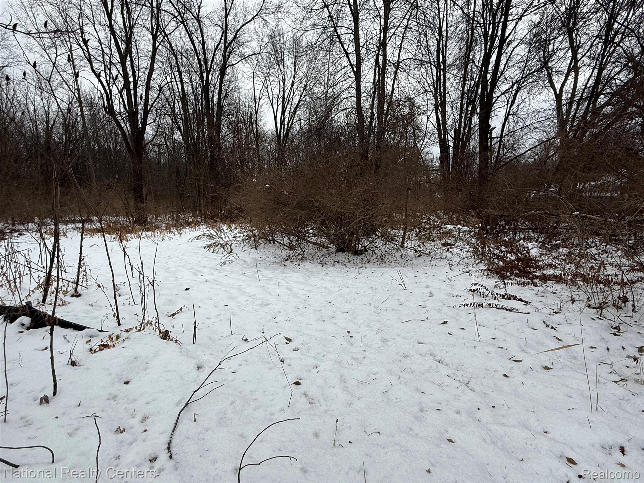 Vacant Ecorse Road Romulus, MI 48174 - Photo 2 of 4 IMG_3610.jpg