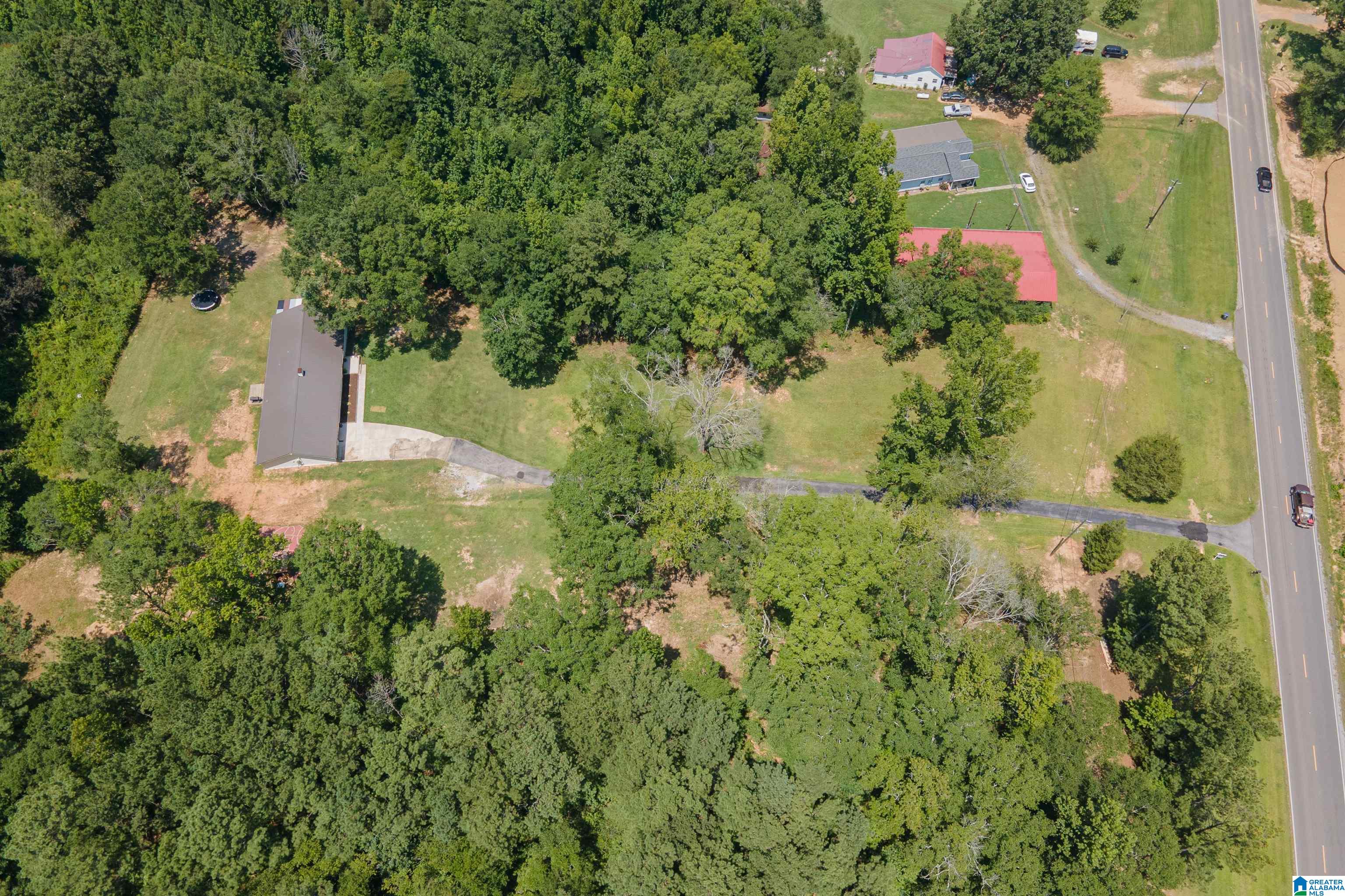 3419 Old Coal City Road Pell City, AL 35125 - Photo 44 of 47