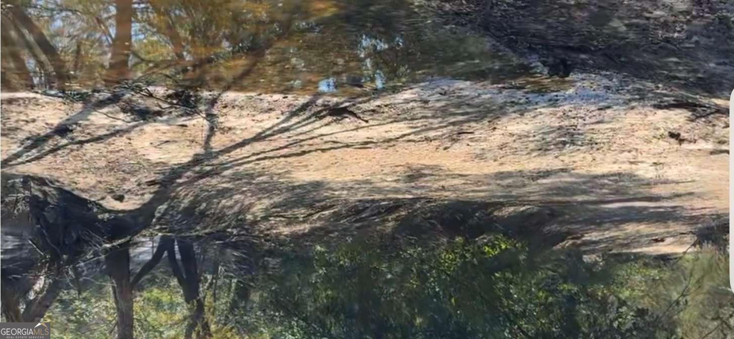 1564 Joy Bluff Road Reidsville, GA 30453 - Photo 22 of 28