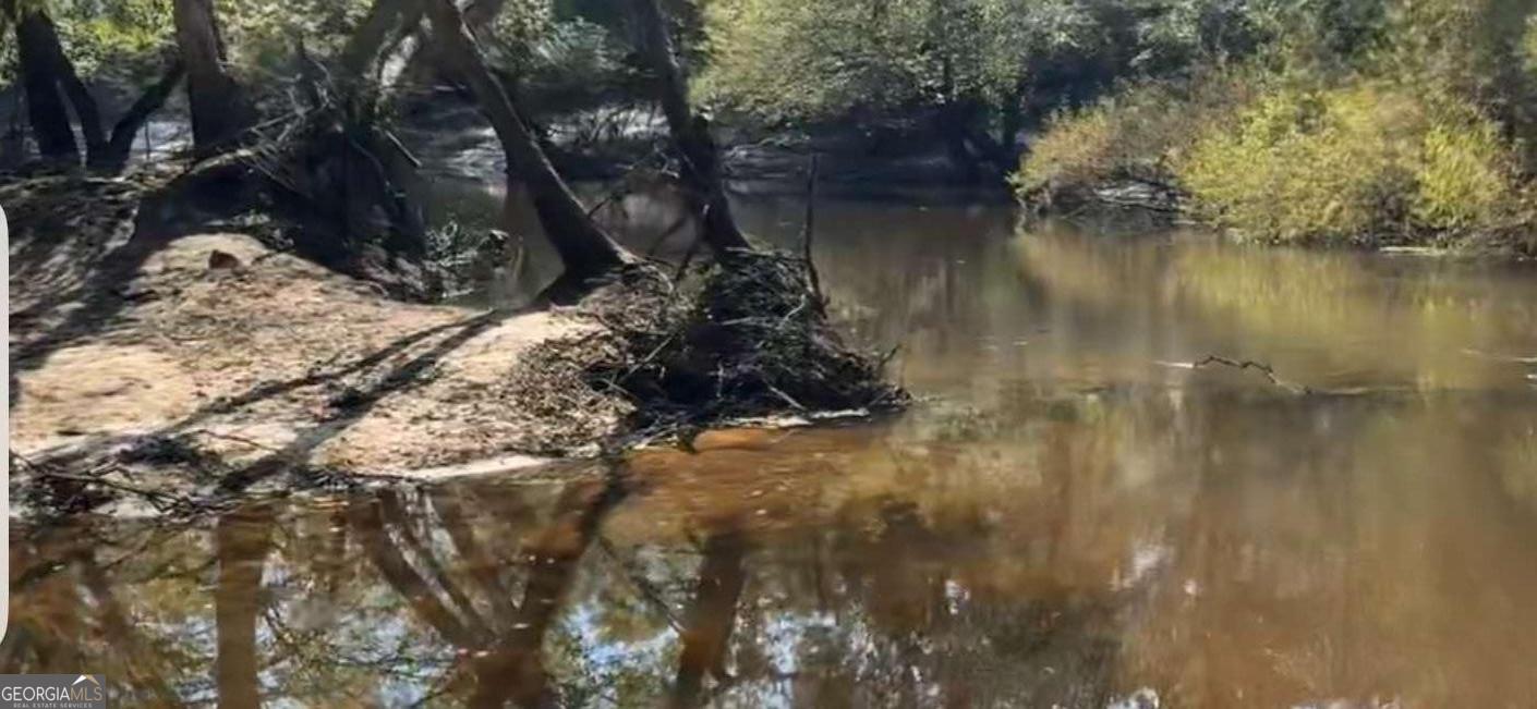 1564 Joy Bluff Road Reidsville, GA 30453 - Photo 24 of 28