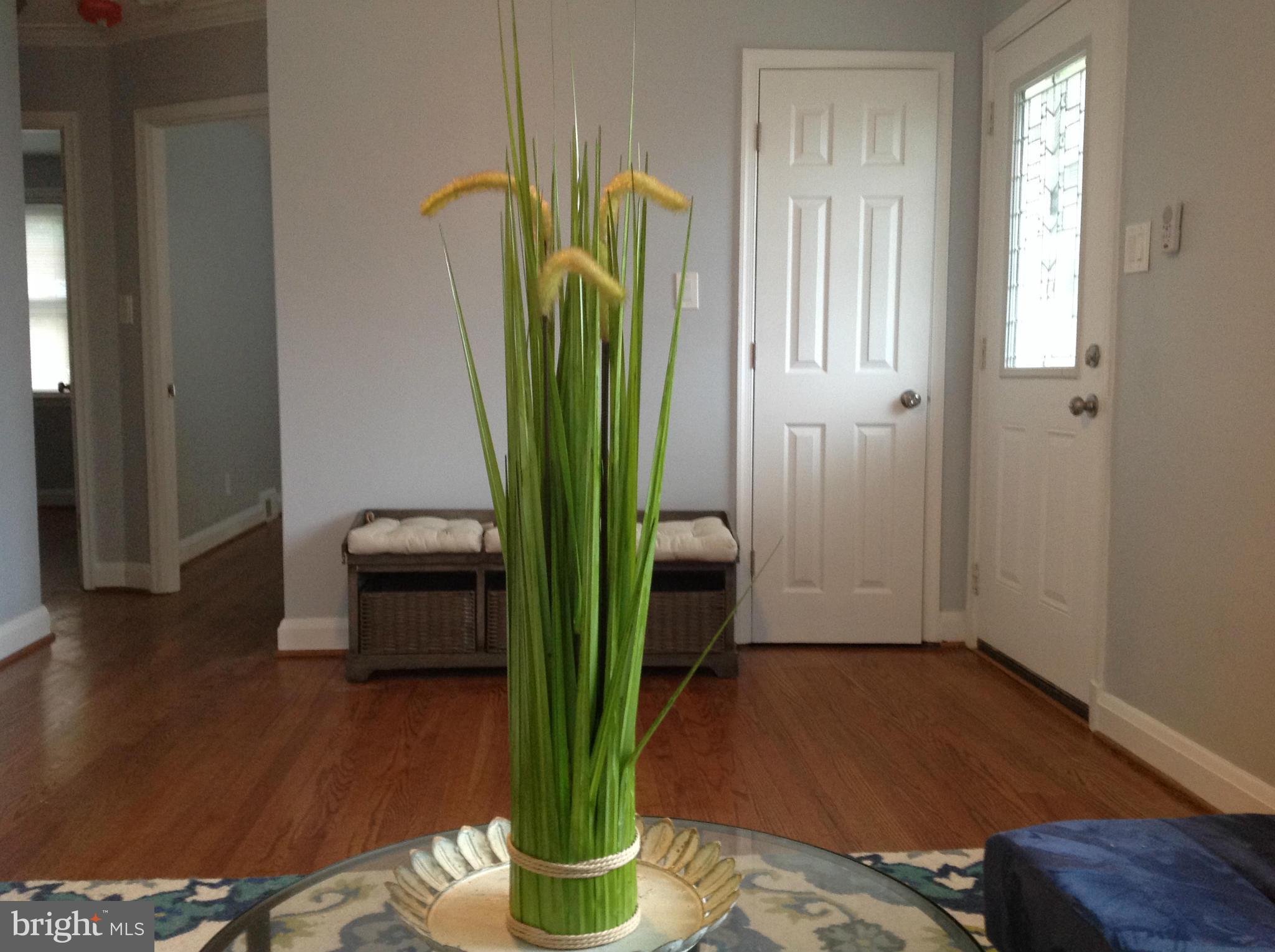 3495 Hillsmere Road Baltimore, MD 21207 - Photo 12 of 19 a living room with furniture and a potted plant