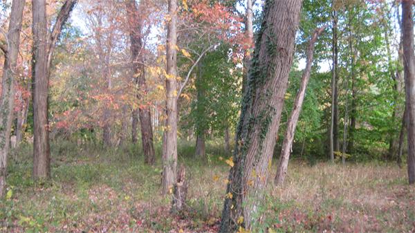 Lot 1 First Parish Road Scituate, MA 02066 - Photo 1 of 1