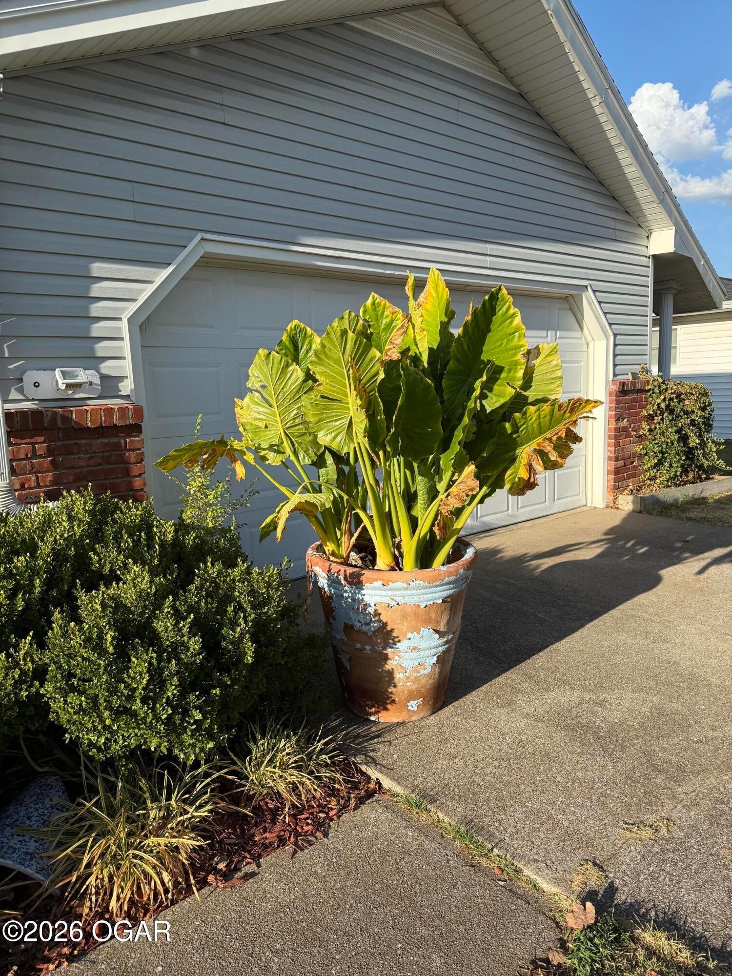 2515 Rosedale Place Joplin, MO 64804 - Photo 9 of 42 Gallery Image 9
