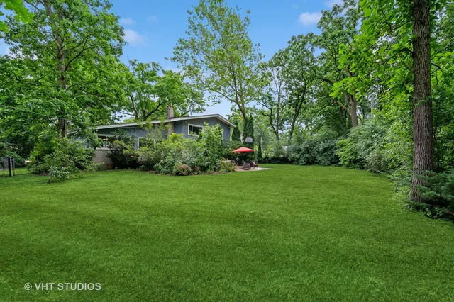 a view of a backyard with potted plants and large trees