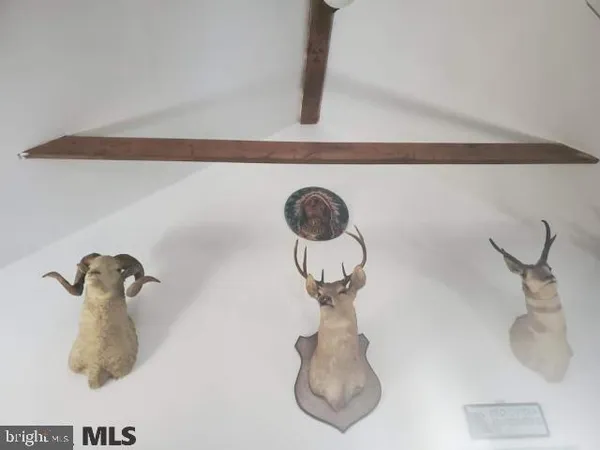 a close view of light fixtures and windows