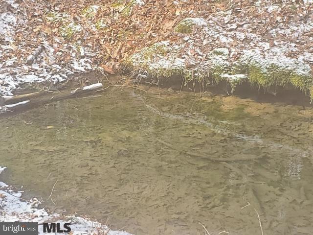 163 Hickory Ridge Road Mill Hall, PA 17751 - Photo 5 of 14