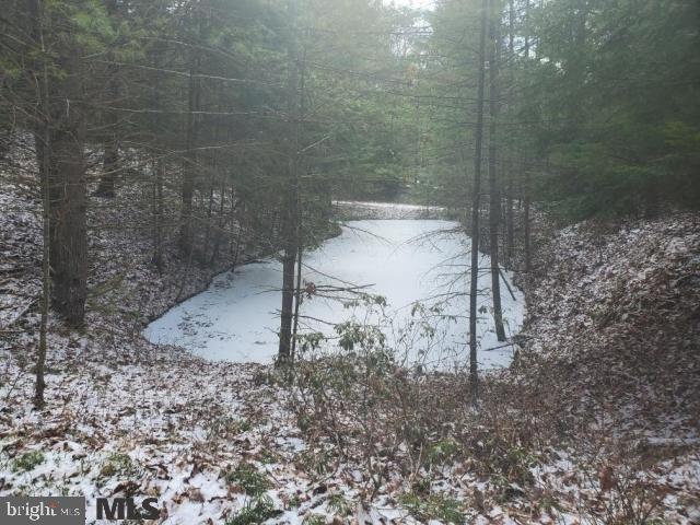 163 Hickory Ridge Road Mill Hall, PA 17751 - Photo 6 of 14