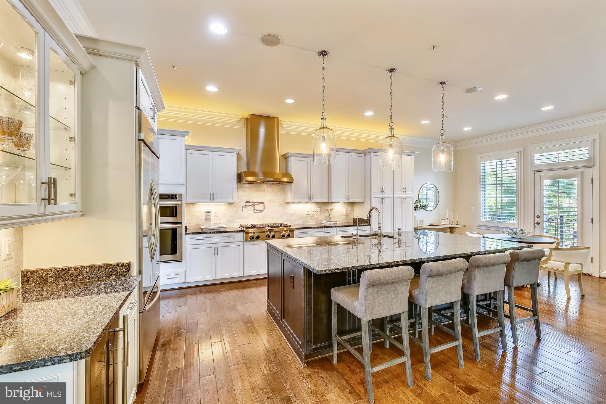 1411 Ridgeview Way Washington, DC 20007 - Photo 5 of 43 Gourmet Kitchen