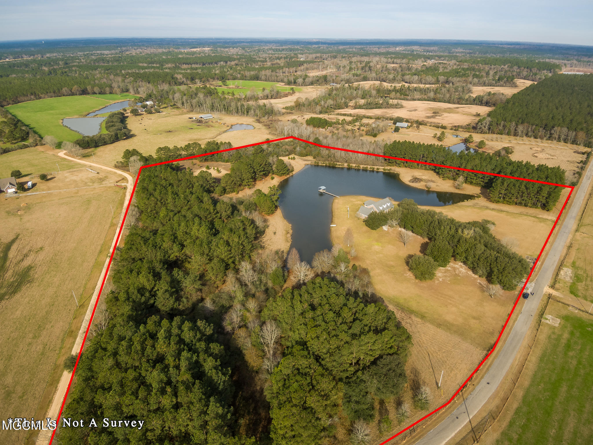 2525 Bouie Road Poplarville, MS 39470 - Photo 3 of 34 Holliday_AERIAL-2525-Bouie-Standard-Res-