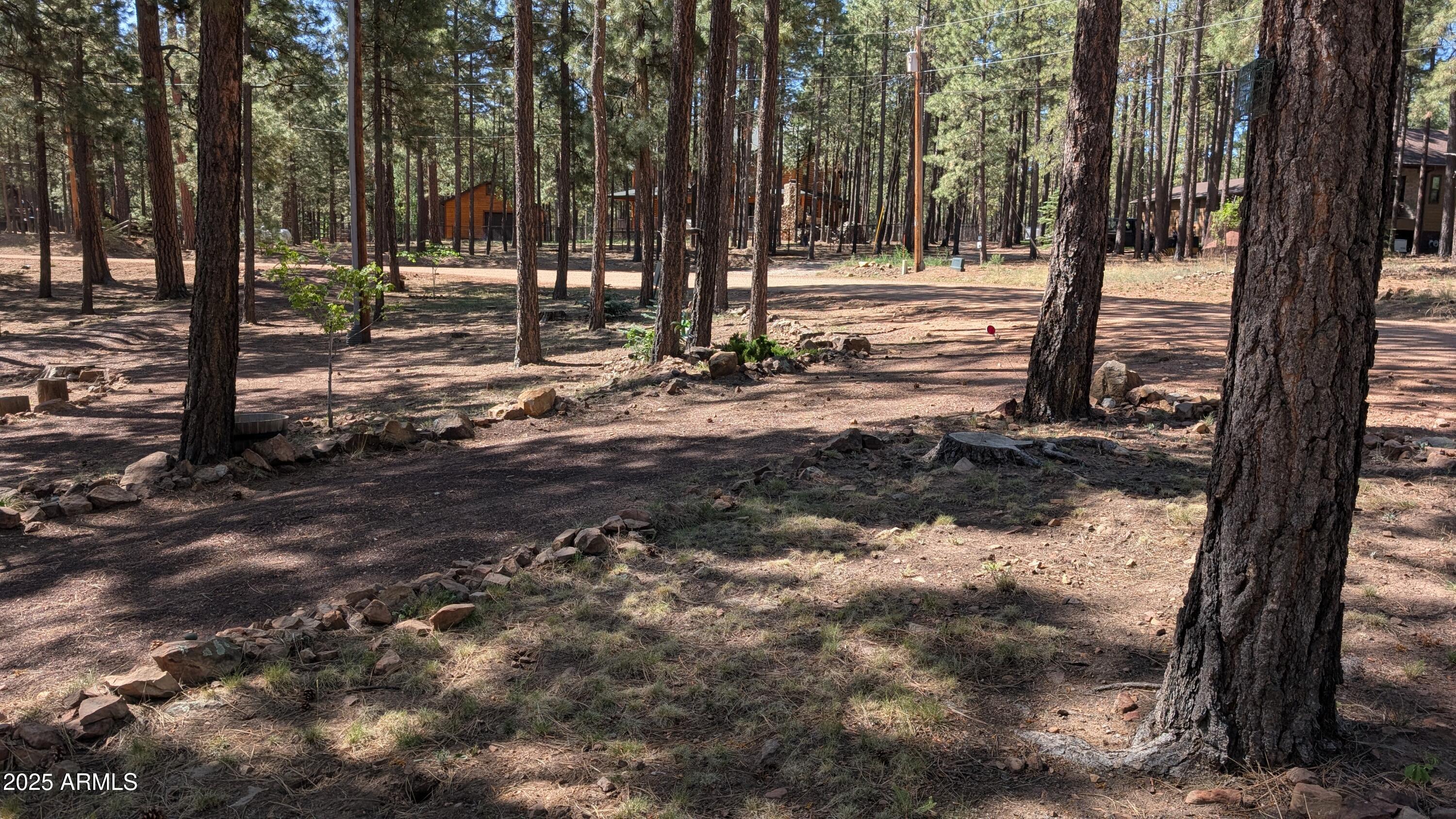 2425 Tall Trees Loop Forest Lakes, AZ 85931 - Photo 40 of 43 a view of a yard with trees
