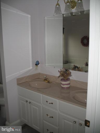 311 Budds Landing Road Warwick, MD 21912 - Photo 11 of 25 Master Bath