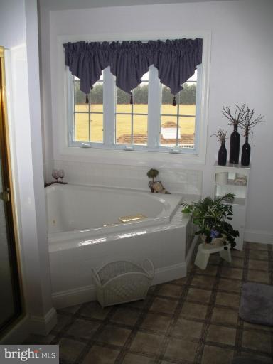 311 Budds Landing Road Warwick, MD 21912 - Photo 13 of 25 Master Bath #2