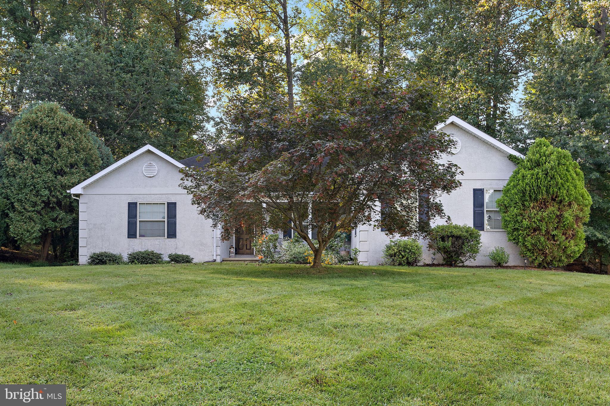 40 Arizona State Drive Newark, DE 19713 - Photo 3 of 50 Charming home nestled in lush greenery.