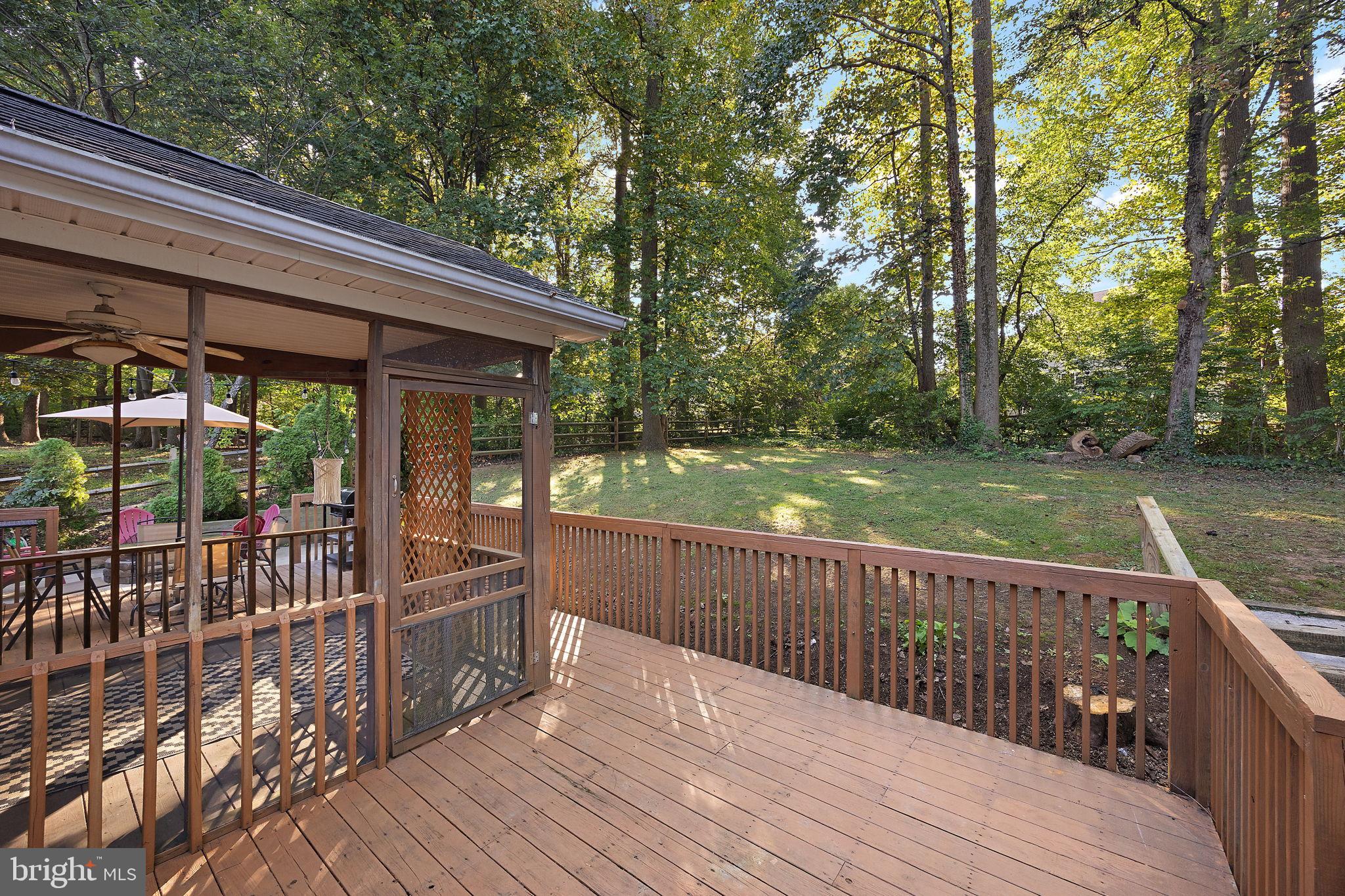 40 Arizona State Drive Newark, DE 19713 - Photo 38 of 50 Serene deck overlooking lush greenery.
