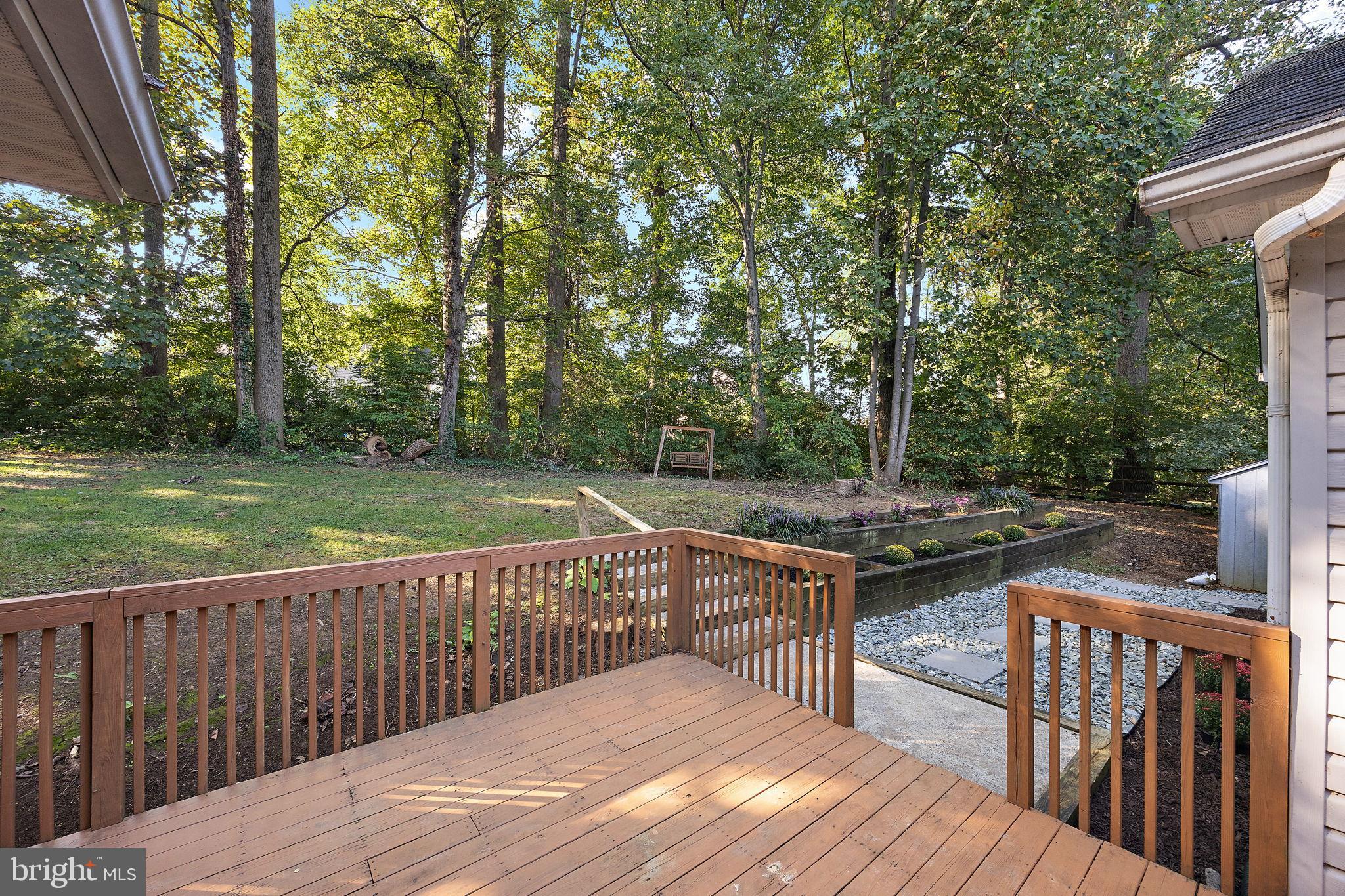 40 Arizona State Drive Newark, DE 19713 - Photo 41 of 50 Serene backyard retreat with lush greenery.
