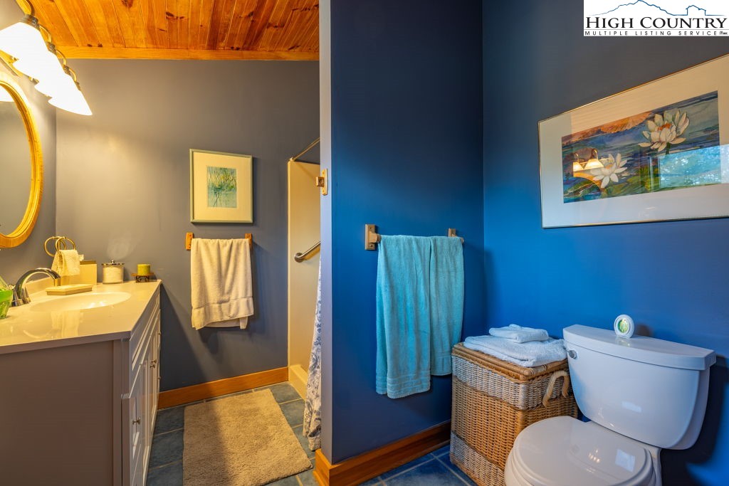 949-951 Watauga River Road Sugar Grove, NC 28679 - Photo 19 of 50