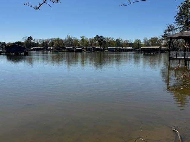 0 County Road Centre, AL 35960 - Photo 3 of 5