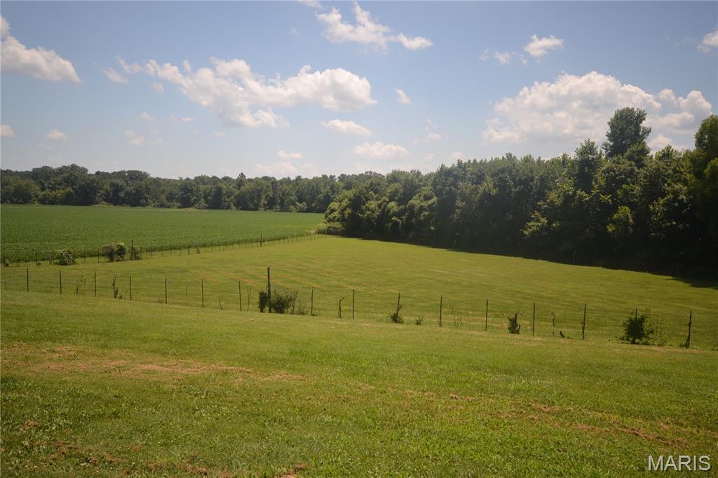 2606 Imbs Station Road Millstadt, IL 62260 - Photo 52 of 59