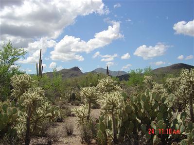 7400 West Ina Road, Unit LOT3E Tucson, AZ 85743 - Photo 3 of 3