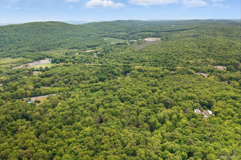 Tbd Rt 299 Highland, NY 12528 - Photo 2 of 9 a view of lake with mountain