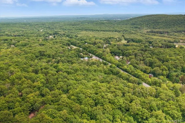 a view of a city with lush green forest