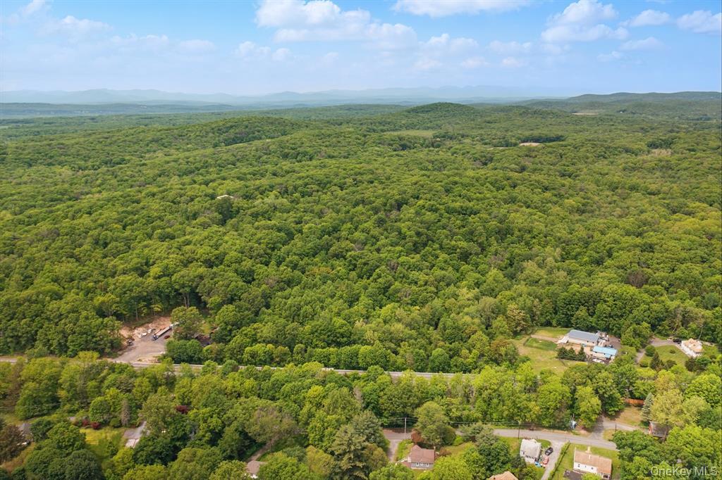 Tbd Rt 299 Highland, NY 12528 - Photo 7 of 9 a view of a field with an ocean