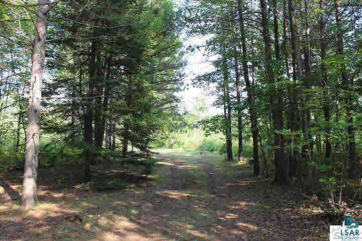 70355 Fire Lake Road Iron River, WI 54847 - Photo 6 of 10