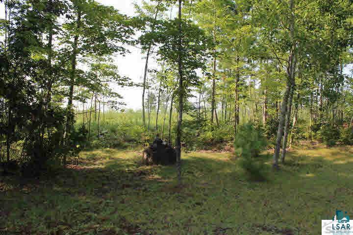 70355 Fire Lake Road Iron River, WI 54847 - Photo 7 of 10