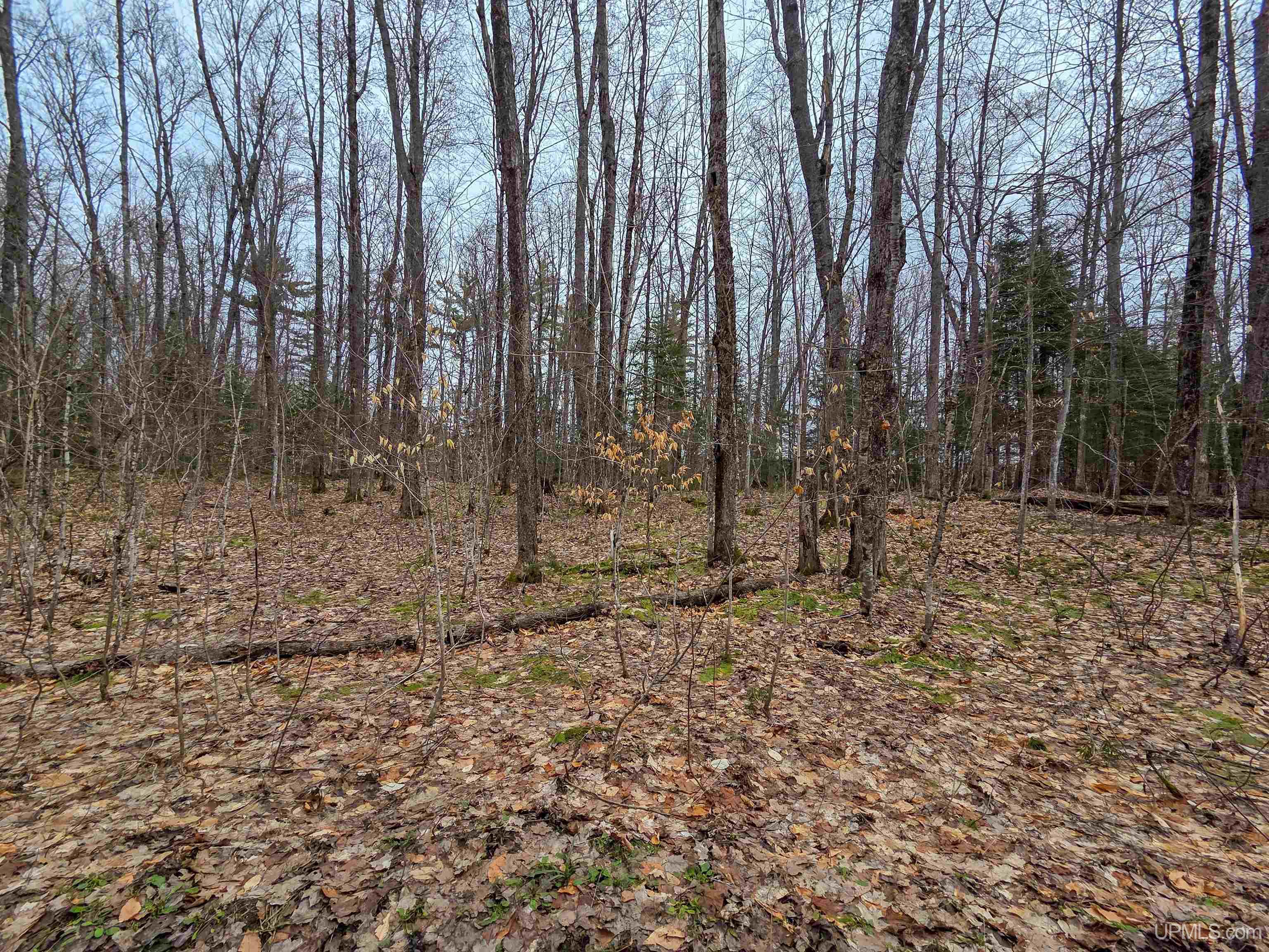 Tbd Big Twin Lake Road Wetmore, MI 49895 - Photo 10 of 14