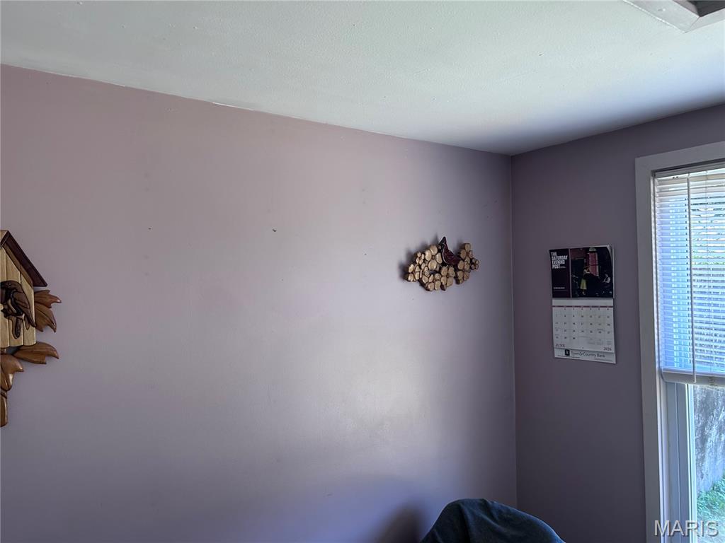 183 Graham Road Steelville, MO 65565 - Photo 24 of 82