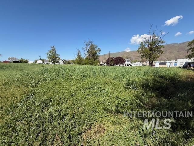 1327 Poplar Street Clarkston, WA 99403 - Photo 10 of 17