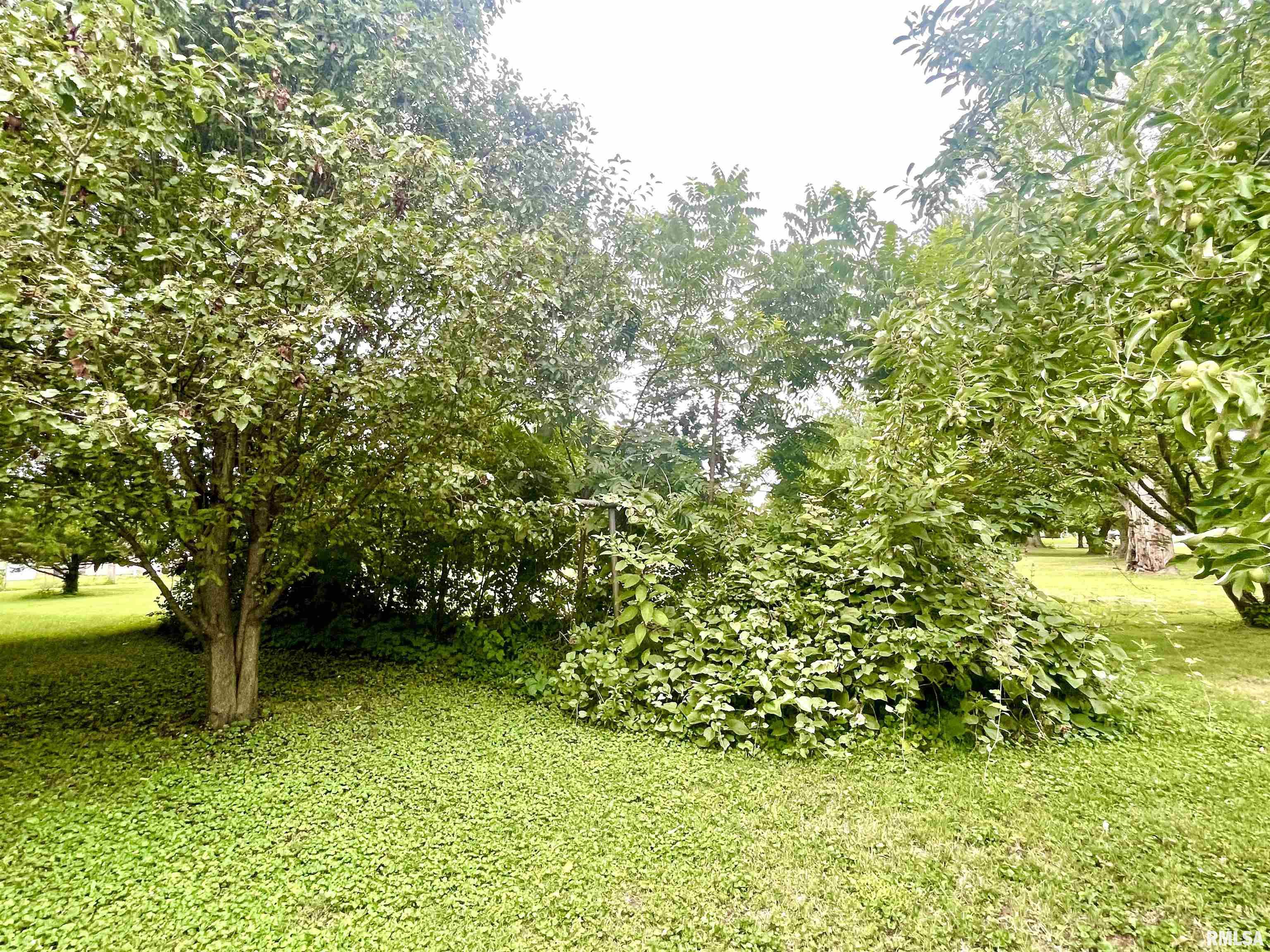 210 Johnson Street Valier, IL 62891 - Photo 19 of 20 Gallery Image 19
