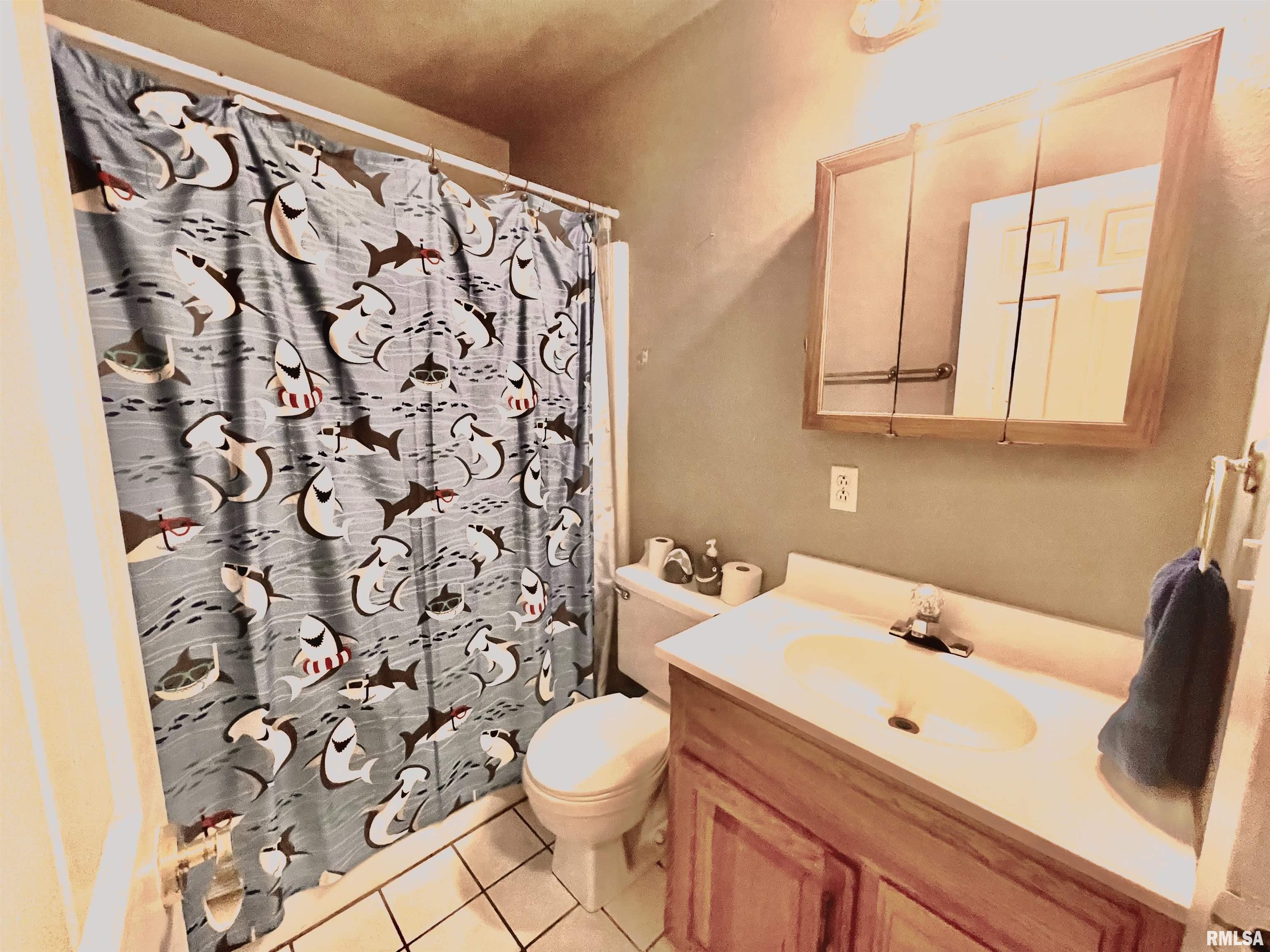 210 Johnson Street Valier, IL 62891 - Photo 10 of 20 Gallery Image 10