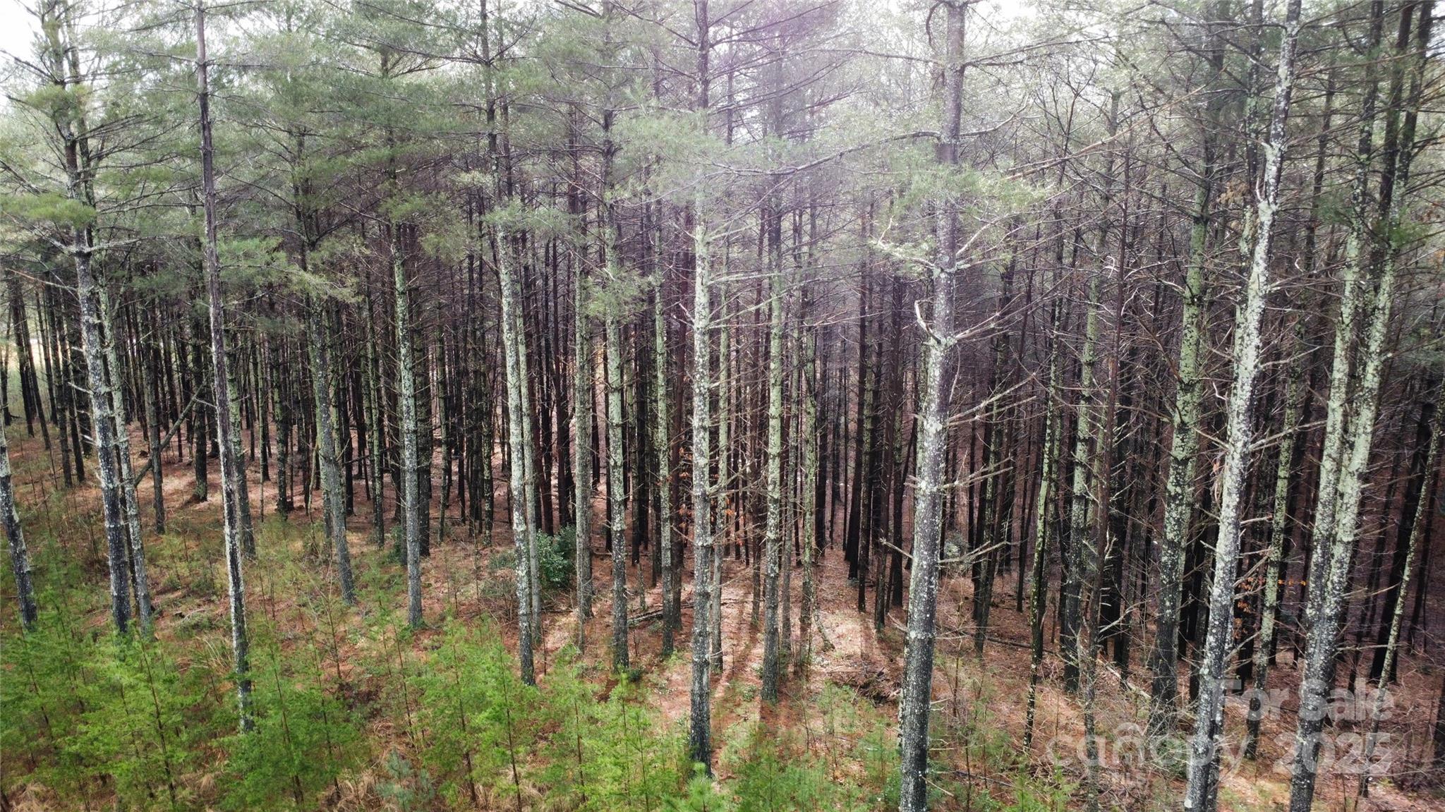 26 Peninsula Reserve Road, Unit 26 Nebo, NC 28761 - Photo 11 of 20