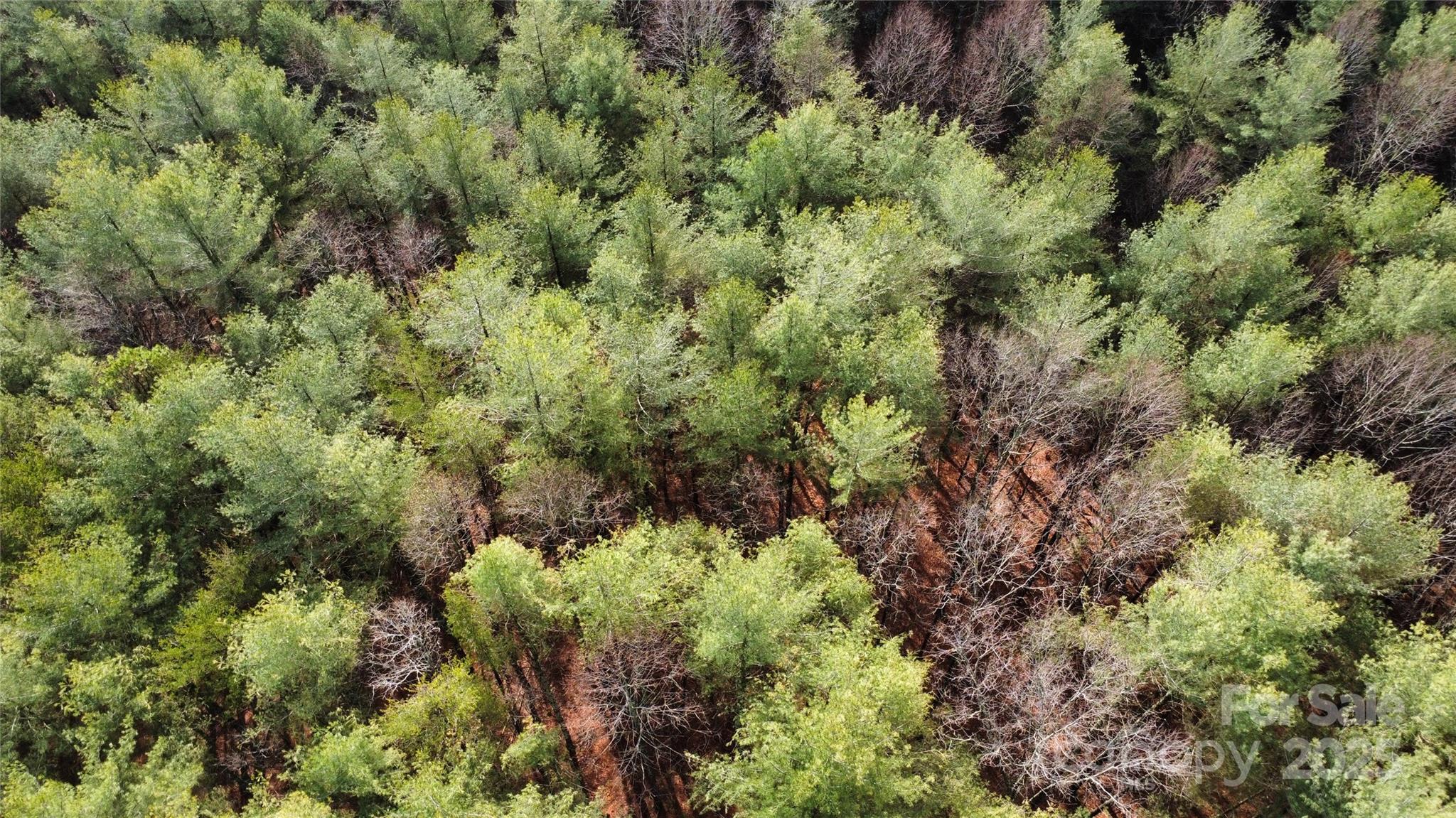 26 Peninsula Reserve Road, Unit 26 Nebo, NC 28761 - Photo 12 of 20