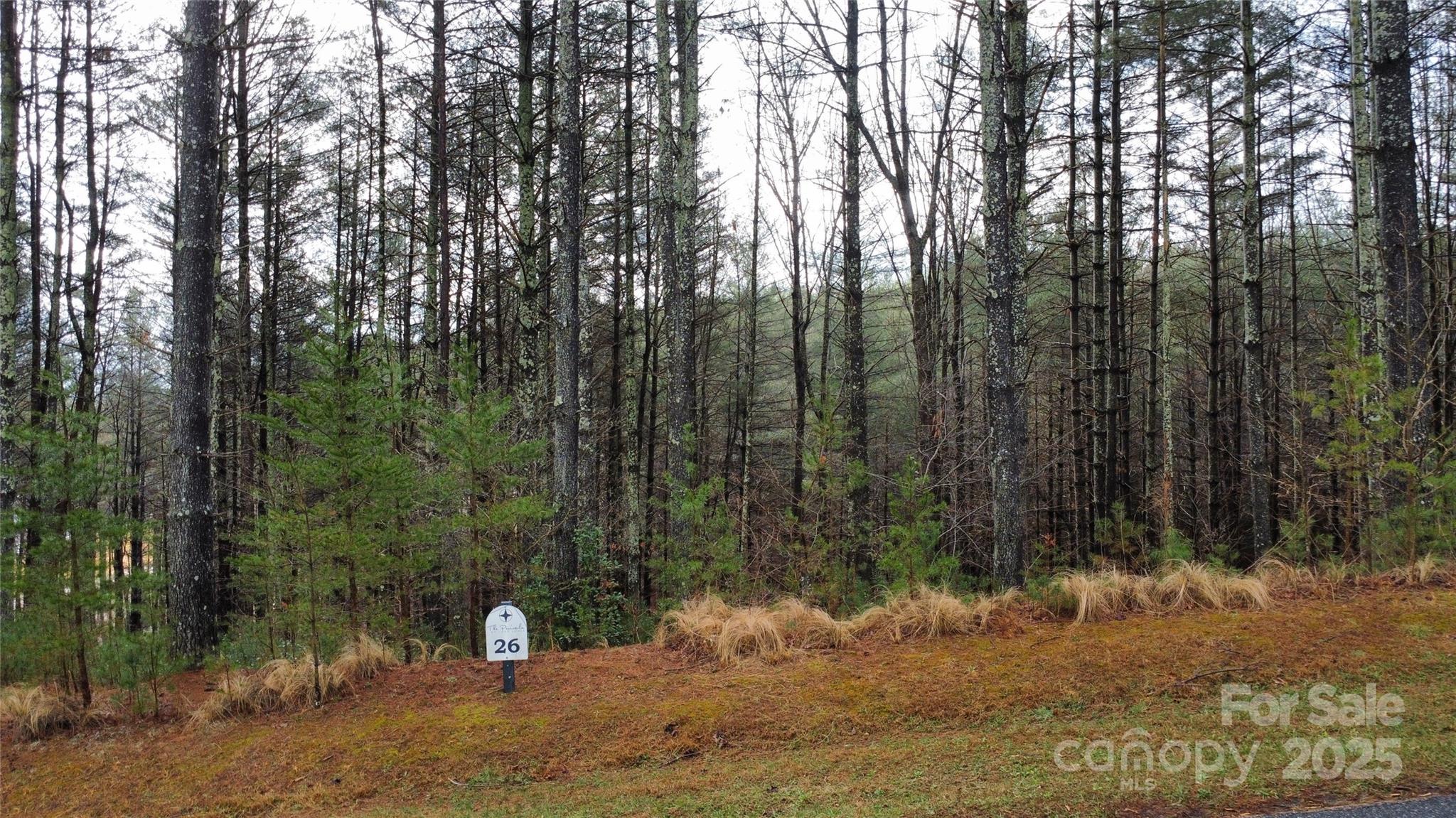 26 Peninsula Reserve Road, Unit 26 Nebo, NC 28761 - Photo 13 of 20