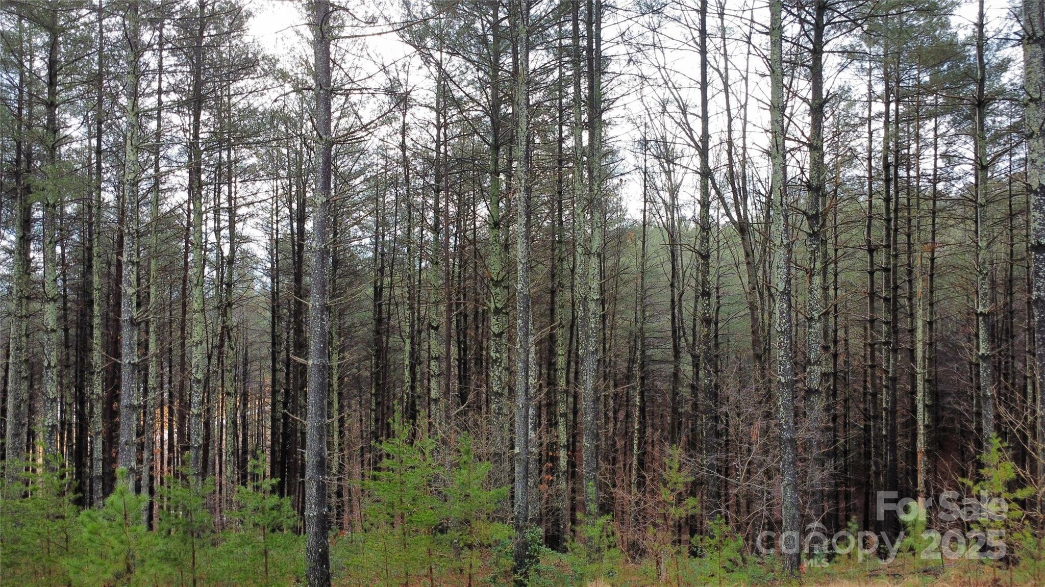 26 Peninsula Reserve Road, Unit 26 Nebo, NC 28761 - Photo 14 of 20