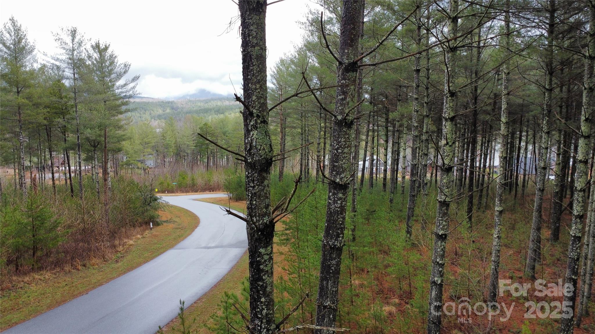 26 Peninsula Reserve Road, Unit 26 Nebo, NC 28761 - Photo 3 of 20