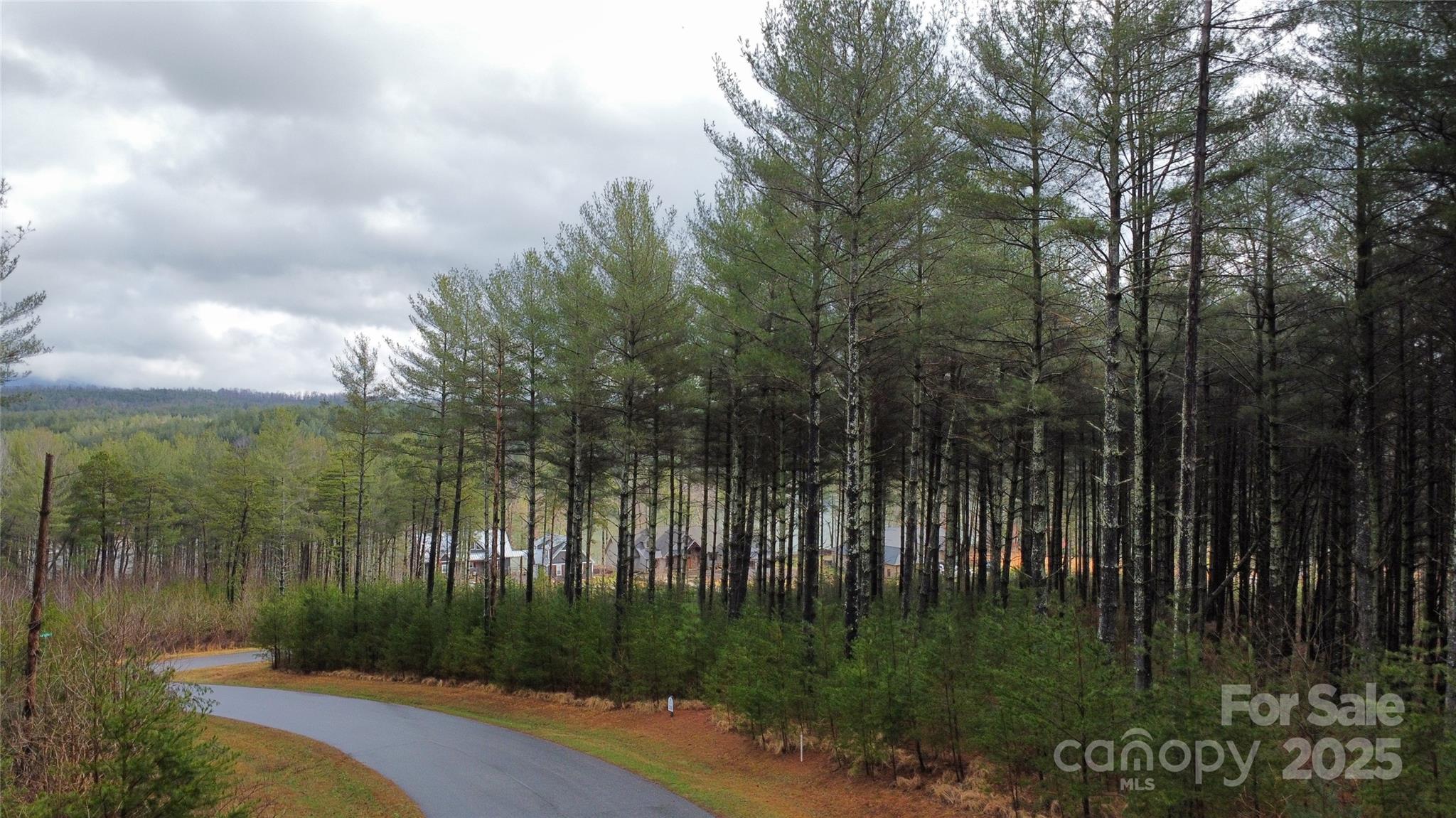 26 Peninsula Reserve Road, Unit 26 Nebo, NC 28761 - Photo 4 of 20