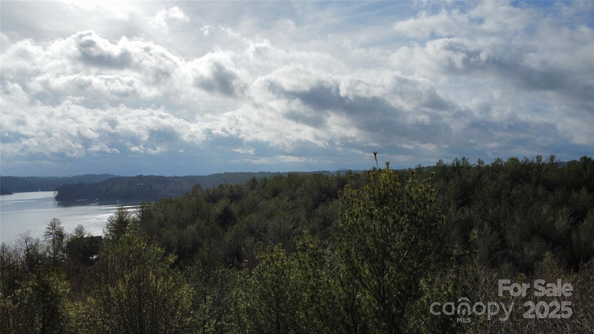 26 Peninsula Reserve Road, Unit 26 Nebo, NC 28761 - Photo 5 of 20