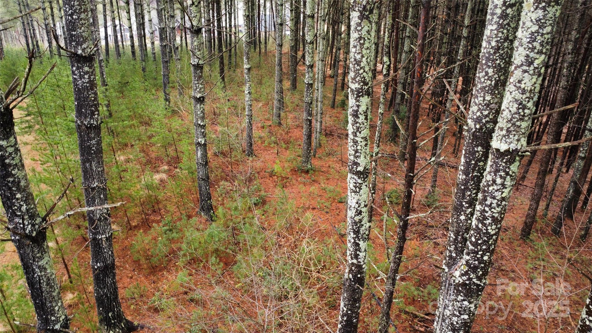 26 Peninsula Reserve Road, Unit 26 Nebo, NC 28761 - Photo 7 of 20