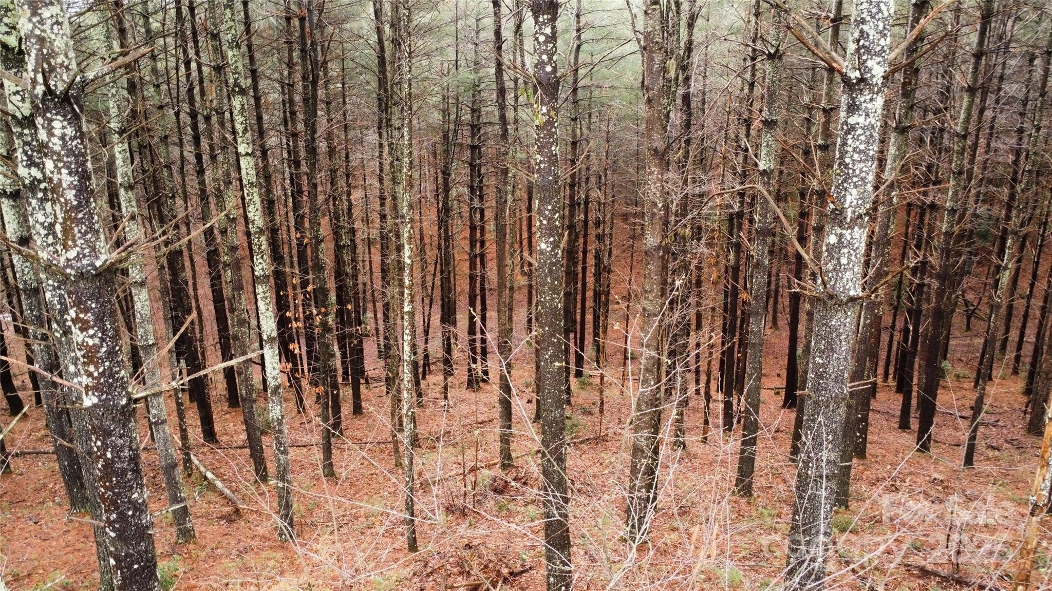 26 Peninsula Reserve Road, Unit 26 Nebo, NC 28761 - Photo 8 of 20