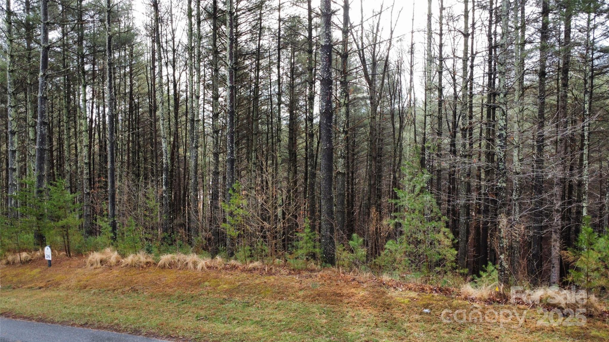 26 Peninsula Reserve Road, Unit 26 Nebo, NC 28761 - Photo 9 of 20