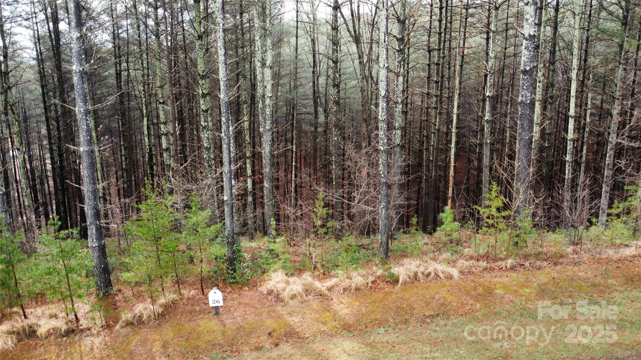 26 Peninsula Reserve Road, Unit 26 Nebo, NC 28761 - Photo 10 of 20